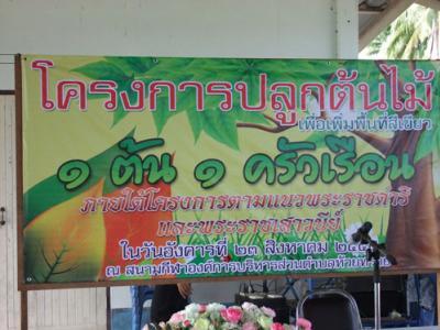โครงการปลูกต้นไม้ เพื่อเพิ่มพื้นที่สีเขียว 1 ต้น 1 ครัวเรือน